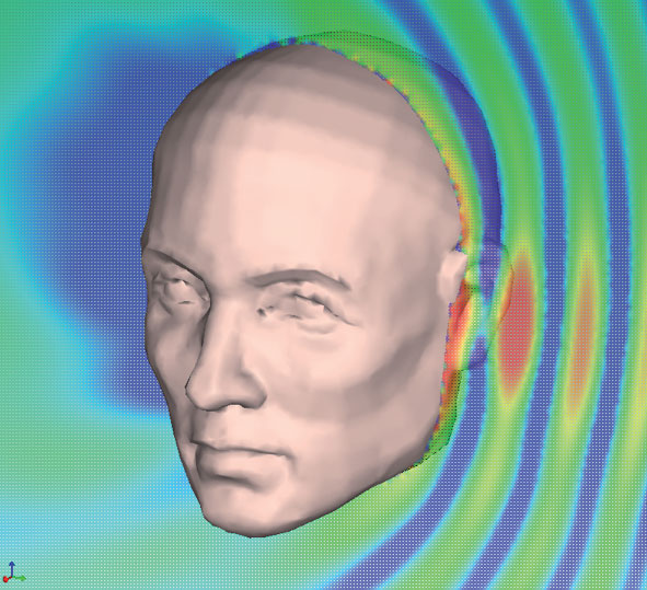 Vibroacoustic model of a human head